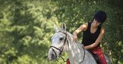Krzyżówka dla miłośników koni. Sprawdź się, odkrywając 19 haseł