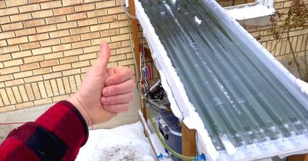 Panele słoneczne do produkcji alg. Żywność i energia ze słońca