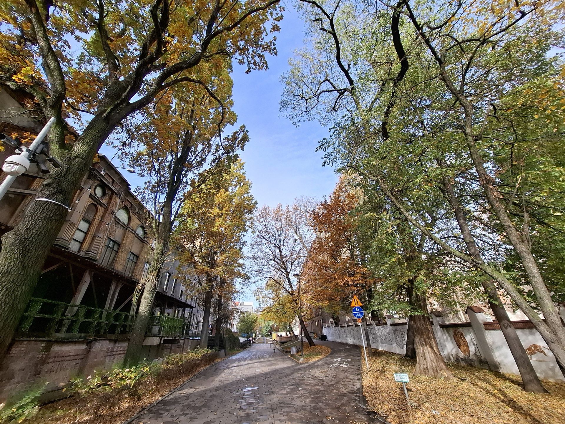 Ruiny Teatru Victoria w Gliwicach