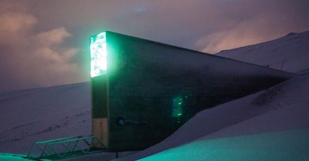 "Skarbiec zagłady" na wyspie Spitsbergen. Trafiają tu próbki z całego świata