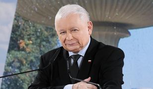 Padło pytanie o Kaczyńskiego. Posłanka PiS: "Umysł jak brzytwa"