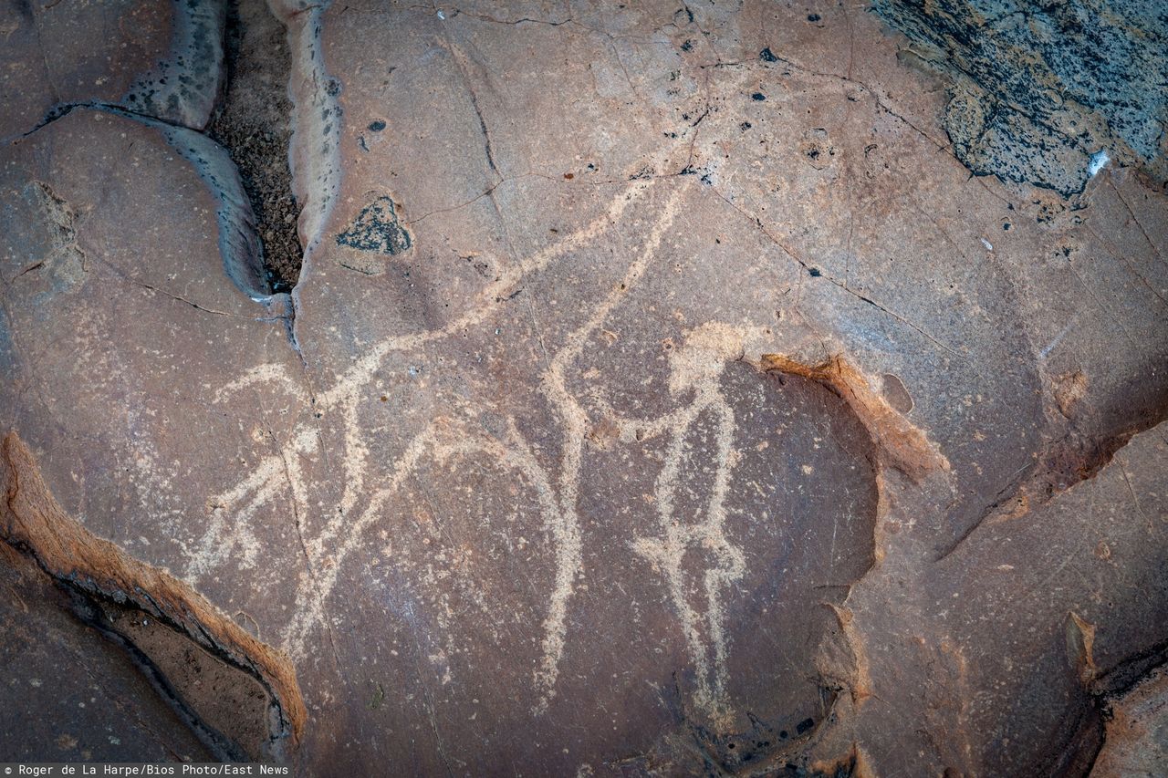 The oldest known cemetery discovered in South Africa challenges the beliefs