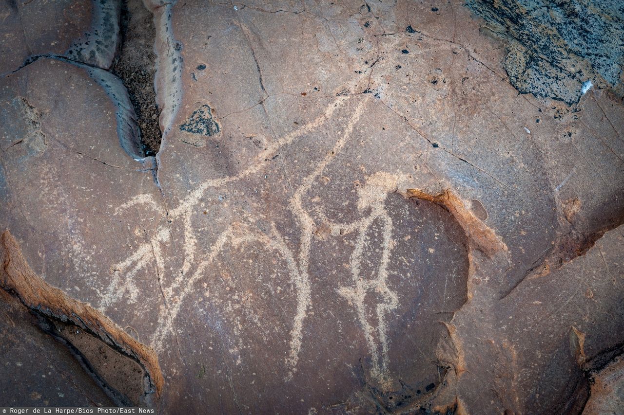 Excavations were carried out in the Republic of South Africa