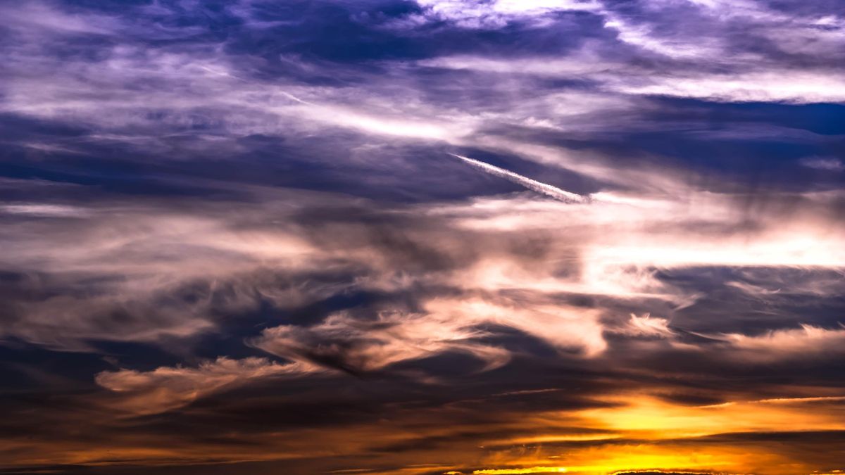 Wir polarny pojawi się nad Polską