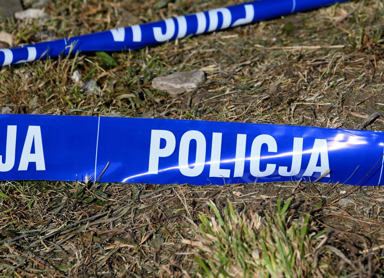 Makabryczne odkrycie w Lubelskiem. Znaleziono kolejne ciało ze śladami pogryzienia