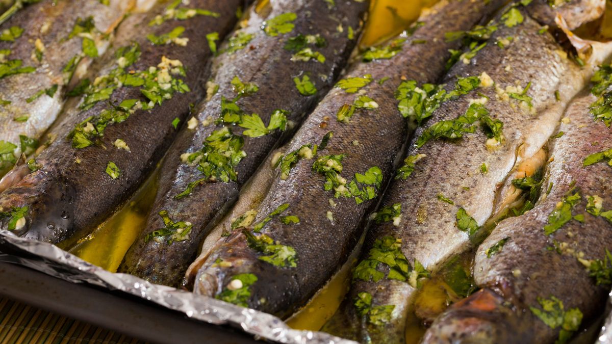 Pstrąg kłodzki to chluba Dolnego Śląska 