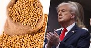 Chiny bojkotują amerykańską soję. Farmerzy mają problem