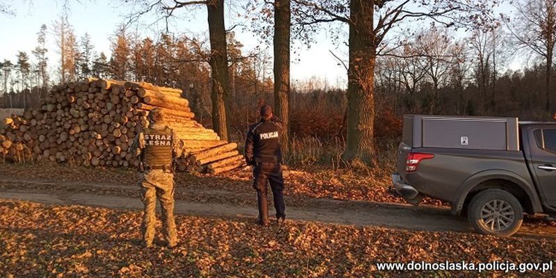 Lubań. Motocykliści i kłusownicy na cenzurowanym. Policjanci i leśniczy sprawdzają lasy