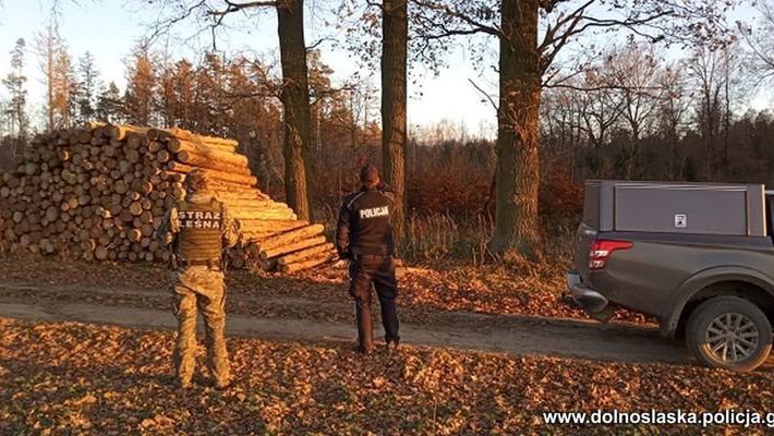 Lubań. Motocykliści i kłusownicy na cenzurowanym. Policjanci i leśniczy sprawdzają lasy