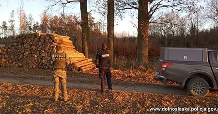 Lubań. Motocykliści i kłusownicy na cenzurowanym. Policjanci i leśniczy sprawdzają lasy