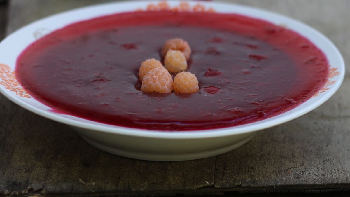 Kisiel porzeczkowy jest zbawienny dla jelit i odporności