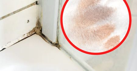 Oto patent na pleśń pod prysznicem. Kosztuje grosze