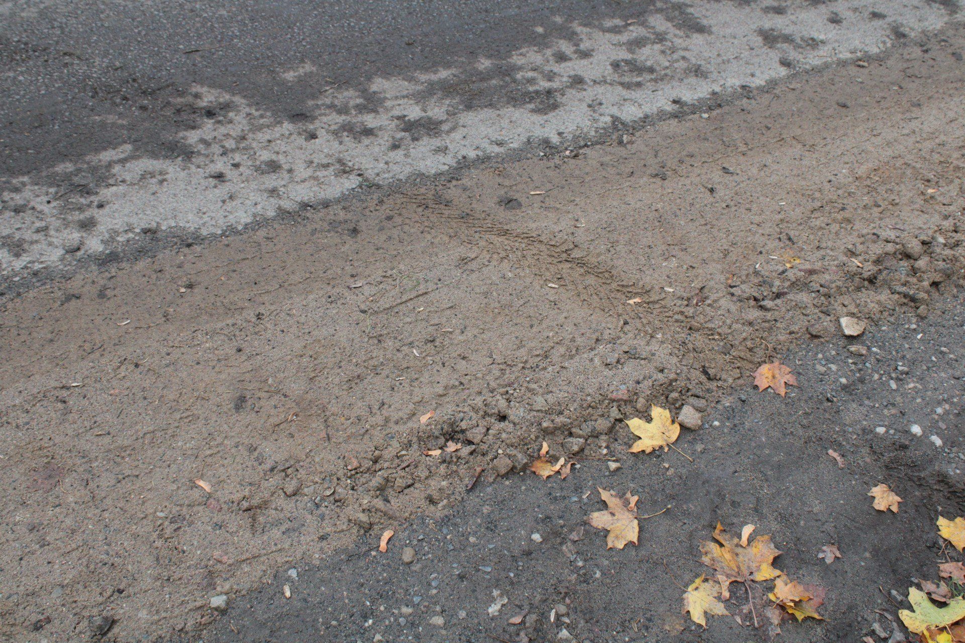 Interwencja, temat naprawy drogi pomiędzy Jamnem a Łabuszem