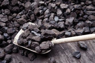 Rząd rozważa dopłaty dla palących węglem. "Minimum tysiąc złotych"