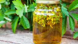 Zdrowotne właściwości dziurawca pospolitego