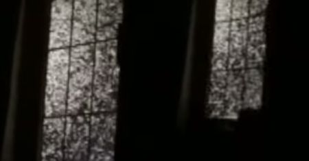 Anglia. Rój owadów nęka Nottinghamshire. Widok jak z horroru