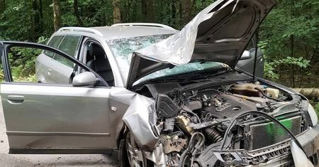 Wjechał w drzewo, które przewróciło się i uszkodziło inne auto