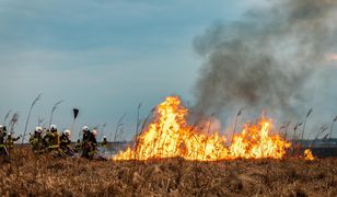 Szef MSWiA o sytuacji na Podlasiu. "Służby gotowe do ewakuacji ludzi"