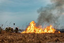 Szef MSWiA o sytuacji na Podlasiu. "Służby gotowe do ewakuacji ludzi"