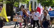 Marsz dla rodziny przeszedł ulicami Płocka