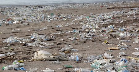 Genetycznie zmodyfikowane bakterie rozkładają plastik w słonej wodzie
