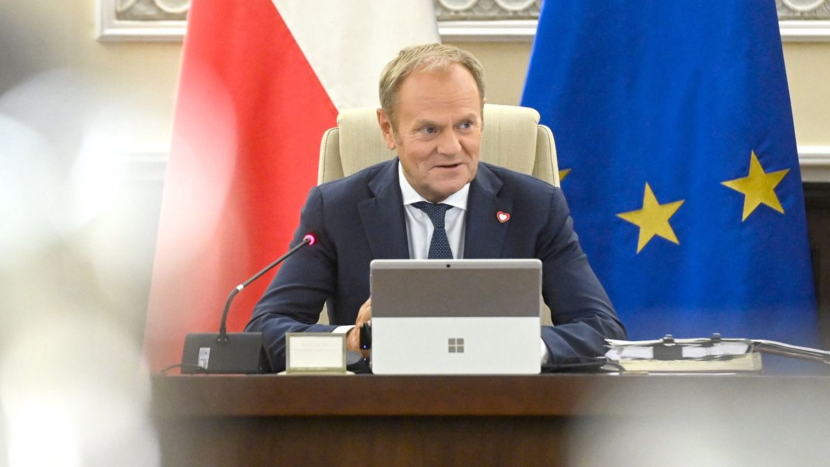 Jest bardzo prawdopodobne, że Pesa i Newag będą chętne do zaangażowania się w Koleje Dużych Prędkości - zapowiedział premier Donald Tusk