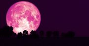 Wkrótce na niebie zobaczymy "truskawkowy księżyc". To jedyna taka noc