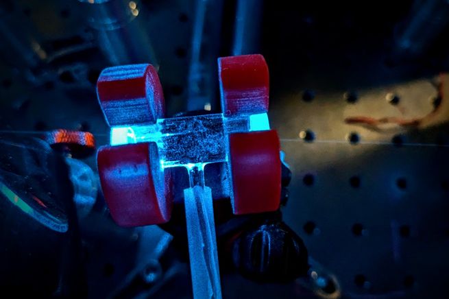 Kwantowa antena radiowa (fot. Michał Parniak)