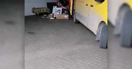 Tak kurierzy DHL rzucają paczkami klientów. Zobacz nagrania – WIDEO