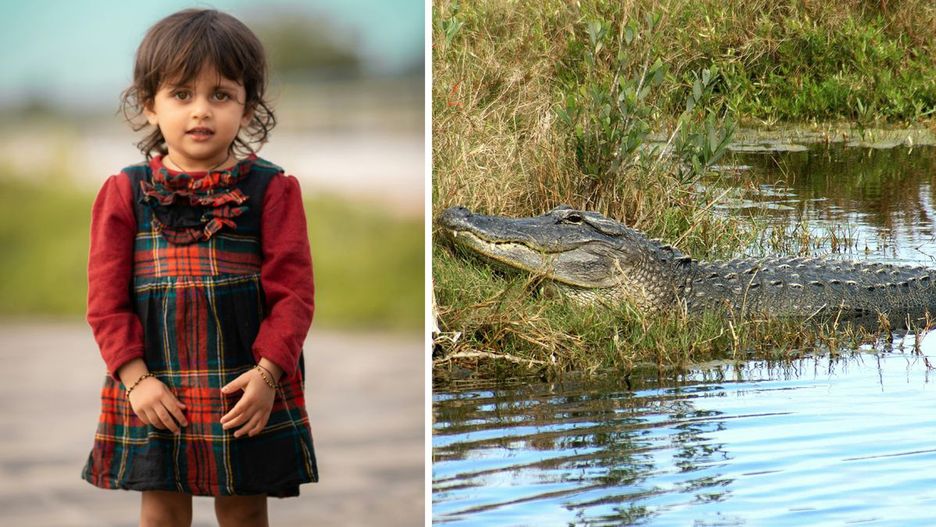 Ilustracja poglądowa