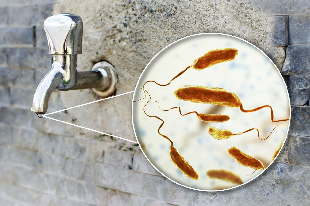 Cholera to śmiertelna choroba, która sieje postrach. Bardzo łatwo jest się nią zarazić. Bakterie mogą być w jedzeniu lub wodzie