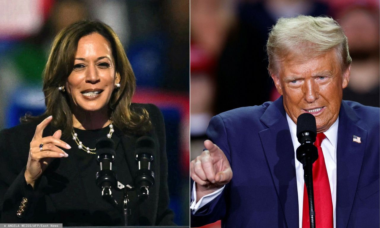 Donald Trump and Kamala Harris spent $3.5 billion on the presidential campaign.