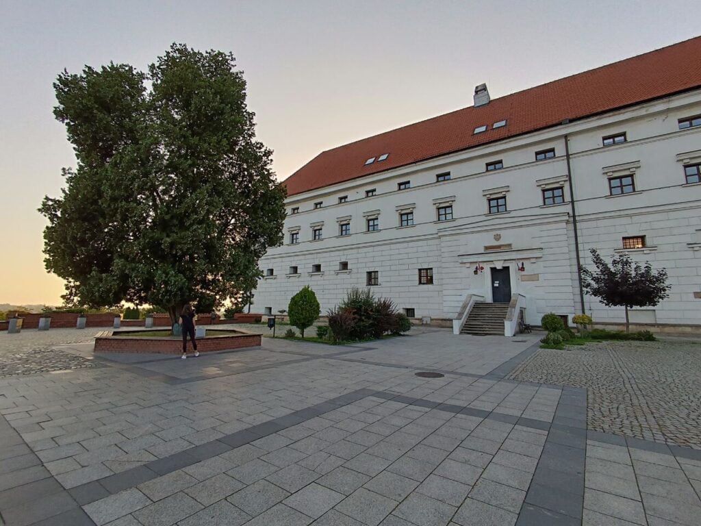 Obraz