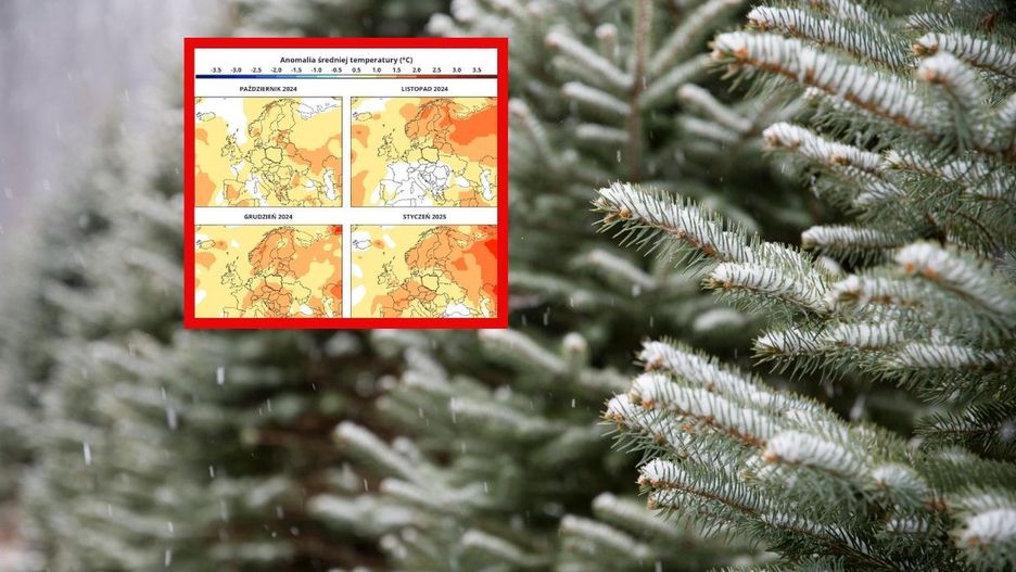 /zdjęcie ilustracyjne