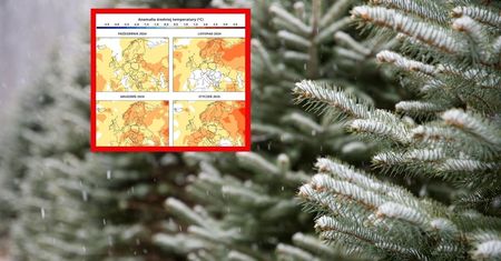Jaka będzie zima? Są pierwsze prognozy IMGW