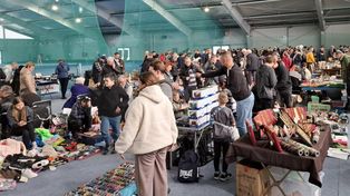 Pchli Targ w Zamościu odbędzie się pod chmurką: 3 maja. Obok miejscowego parku. Co tam znajdziemy?