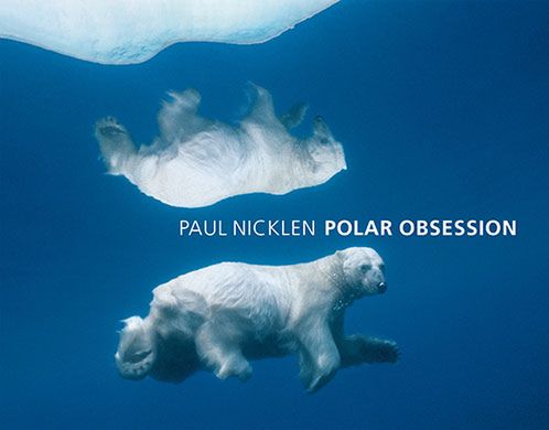 Marsz pingwinów, oko w oko z morsem – fotografie Paula Nicklena [inspiracja] 2
