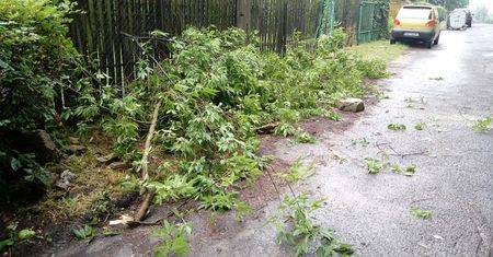 Śląskie. Burze nad woj. śląskim, liczne interwencje straży