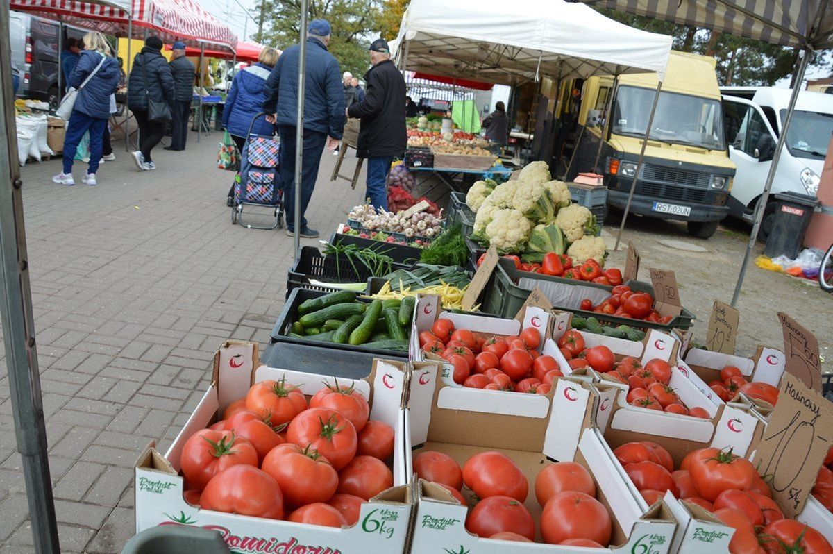 Wyjątkowa obfitość pomidorów cieszy amatorów tych warzyw