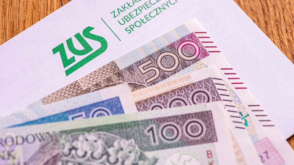 zus, emerytura, renta, zloty, polska, polski, spadek, kasa, kurs, banknot, pit, podatek, dochód, bilon, rachunek, monety, pln, bank, biznes, finanse, inwestycja, kolor, przychód, market, narodowy