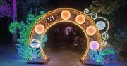 Lublin: Alicja w Ogrodzie Czarów oświetliła botanik. Wyjątkowy Park Iluminacji