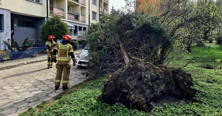 Prawie 1800 interewencji. Siedem osób rannych
