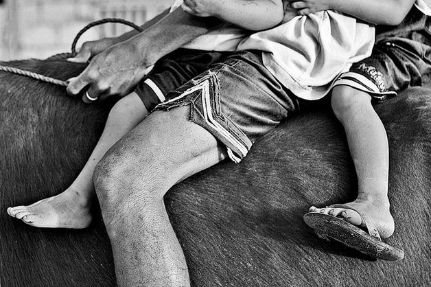 50 fotografii wykonanych klasycznym obiektywem 50 mm 20