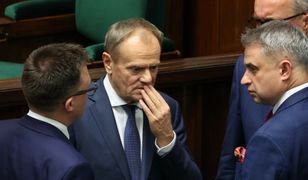 PiS na prowadzeniu w najnowszym sondażu. Konfederacja się umacnia