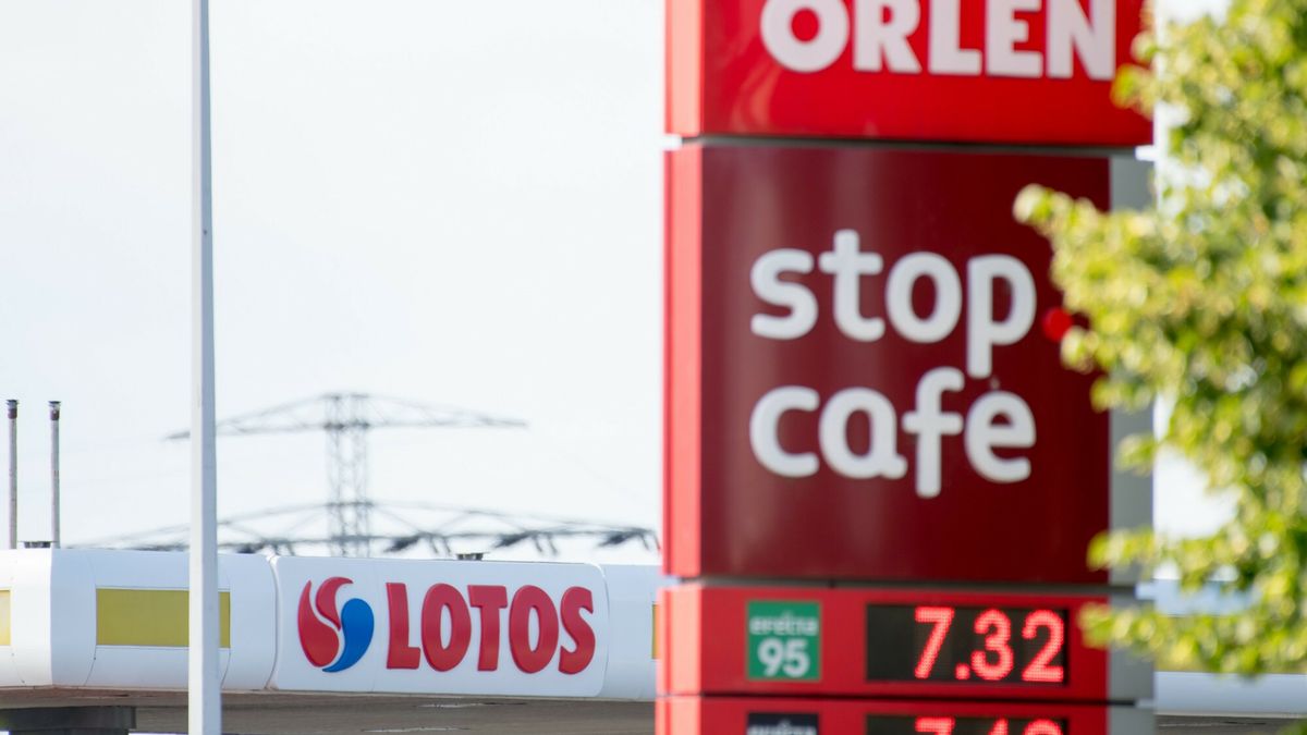 Stacje Lotos zmienią swój szyld
Fot. Wojciech Strozyk/REPORTER