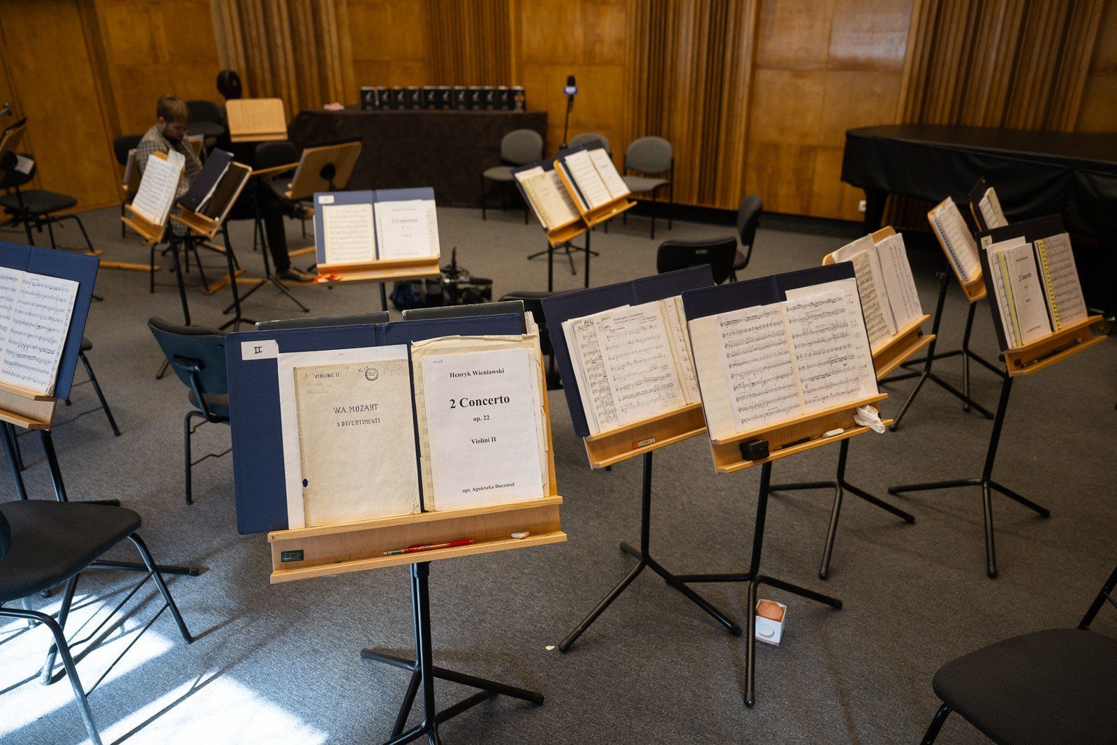 Orkiestra Kameralna Polskiego Radia Amadeus