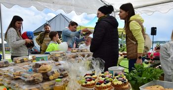 Charytatywny piknik rodzinny dla Wiktorii Wilk nad Jeziorem Tarnobrzeskim