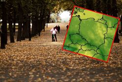 Koniec lata, idzie jesień. Czeka nas pożegnanie z ładną pogodą