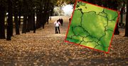 Koniec lata, idzie jesień. Czeka nas pożegnanie z ładną pogodą