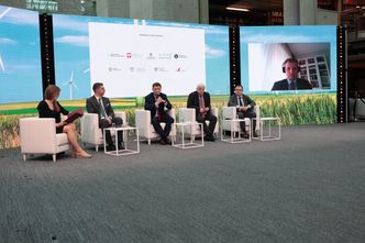 Morskie elektrownie wiatrowe: wyzwanie technologiczne, sieciowe i organizacyjne